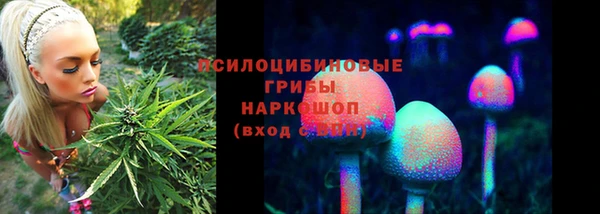 прущие грибы Козловка