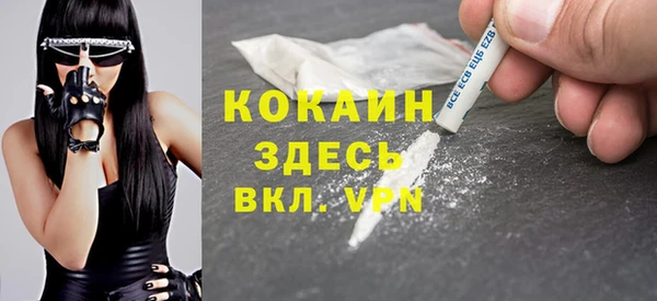 прущие грибы Козловка