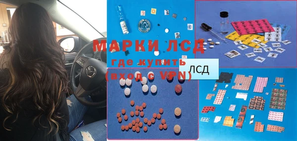 прущие грибы Козловка