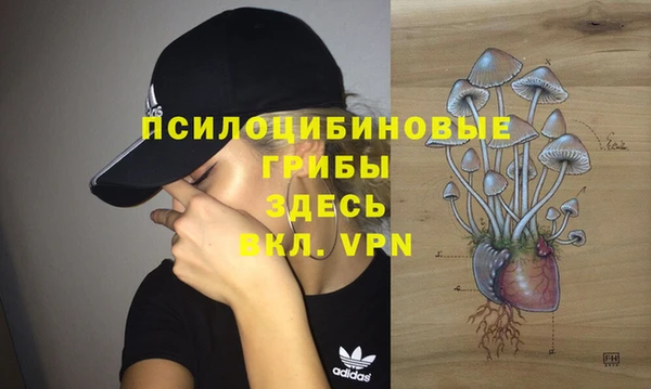 прущие грибы Козловка