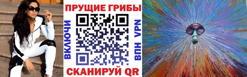 Псилоцибиновые грибы мухоморы  Купить закладки  Бутурлиновка 